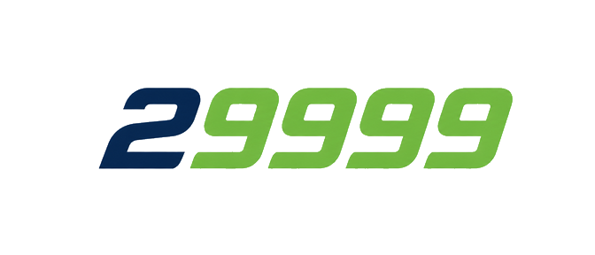 29999 logo on dark blue header